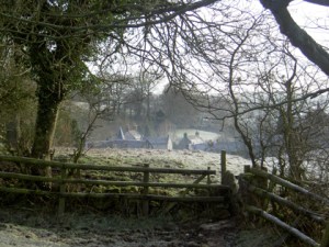 Fields Above The School