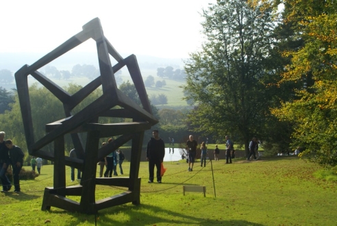 Jedd Novatt - Chaos Vascos II