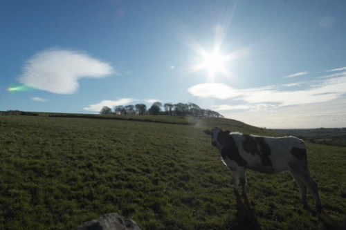 dsc_5808-phase-one-capture-4-adjusted_514x343 dsc_5808-phase-one-capture-4-adjusted_514x343