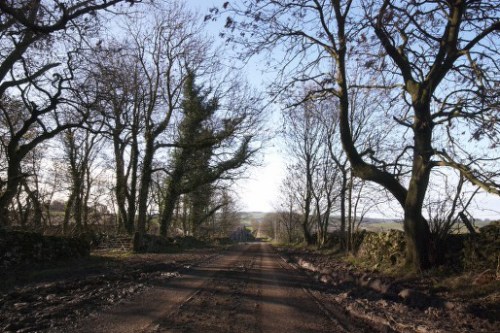 dsc_5815-phase-one-capture-4-adjusted_1_514x343 dsc_5815-phase-one-capture-4-adjusted_1_514x343