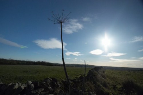 dsc_5821-phase-one-capture-4-adjusted_514x343 dsc_5821-phase-one-capture-4-adjusted_514x343