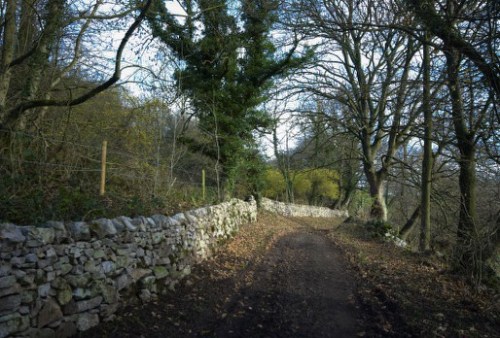 dsc_5838-phase-one-capture-4-adjusted_514x348 dsc_5838-phase-one-capture-4-adjusted_514x348