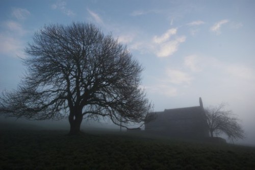 dsc_5922-phase-one-capture-4-adjusted_514x3441