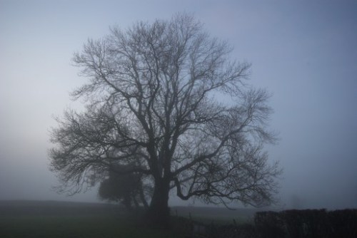 dsc_5943-phase-one-capture-4-adjusted_514x344