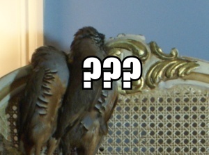 Who's behind the mystery door?