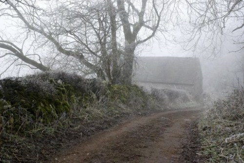 Fog at the top of Back Lane.