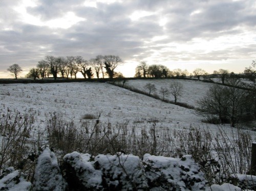 january-snow-1 january-snow-1