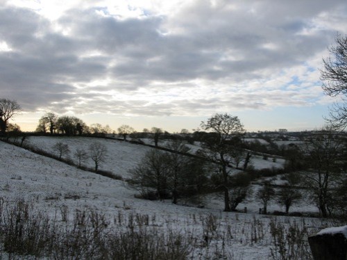 january-snow-3 january-snow-3