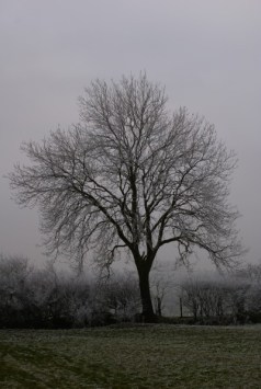 k800frost05 k800frost05