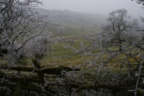 k800frost07 k800frost07