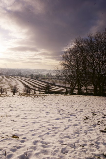 Snow In Furrows Near Brassington
