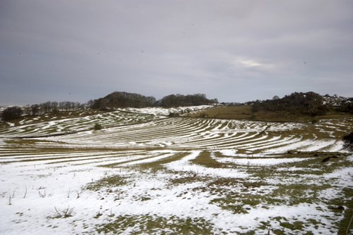 Ridges & Snow-Filled Furrows In Field Near Brassington
