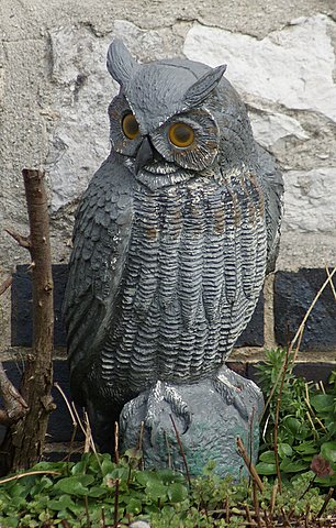 plastic-owl