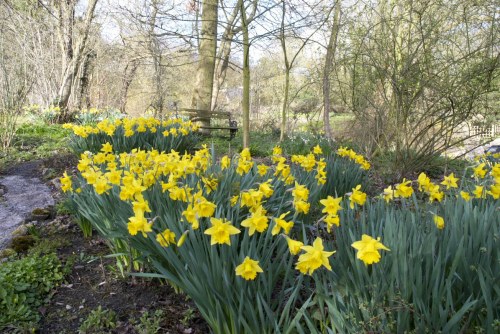 dsc_8175-phase-one-capture-4-adjusted_1195x800 dsc_8175-phase-one-capture-4-adjusted_1195x800