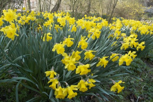 dsc_8201-phase-one-capture-4-adjusted_1200x800 dsc_8201-phase-one-capture-4-adjusted_1200x800