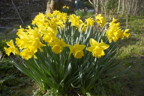 dsc_8212-phase-one-capture-4-adjusted_1195x800 dsc_8212-phase-one-capture-4-adjusted_1195x800