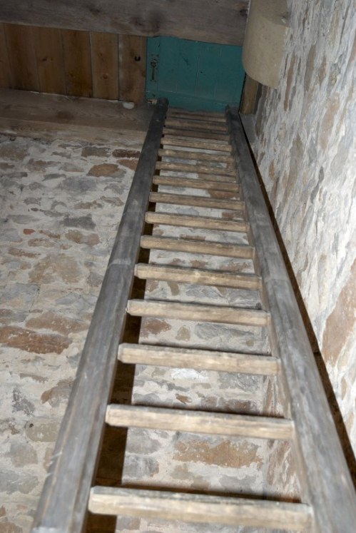 The Ladder Between The Lower and Upper Platforms