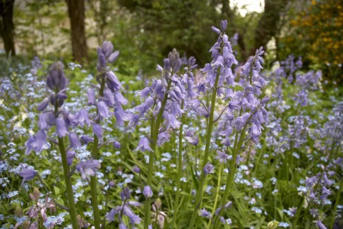 DSC_8644 - Phase One Capture 4 Adjusted_1195x800 DSC_8644 - Phase One Capture 4 Adjusted_1195x800