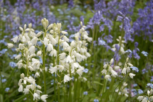 DSC_8645 - Phase One Capture 4 Adjusted_1195x800 DSC_8645 - Phase One Capture 4 Adjusted_1195x800