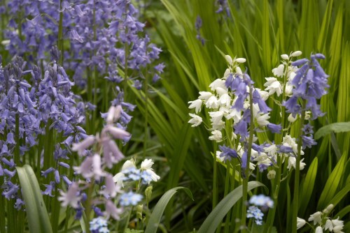 DSC_8649 - Phase One Capture 4 Adjusted_1195x800 DSC_8649 - Phase One Capture 4 Adjusted_1195x800