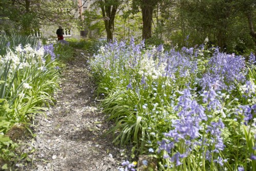 DSC_8654 - Phase One Capture 4 Adjusted_1195x800 DSC_8654 - Phase One Capture 4 Adjusted_1195x800