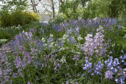 DSC_8658 - Phase One Capture 4 Adjusted_1195x800 DSC_8658 - Phase One Capture 4 Adjusted_1195x800