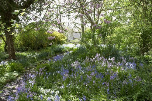 DSC_8662 - Phase One Capture 4 Adjusted_1195x800 DSC_8662 - Phase One Capture 4 Adjusted_1195x800