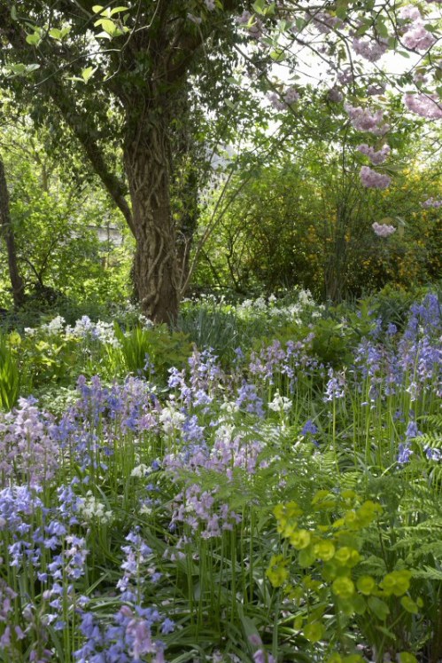 DSC_8663 - Phase One Capture 4 Adjusted_535x800 DSC_8663 - Phase One Capture 4 Adjusted_535x800