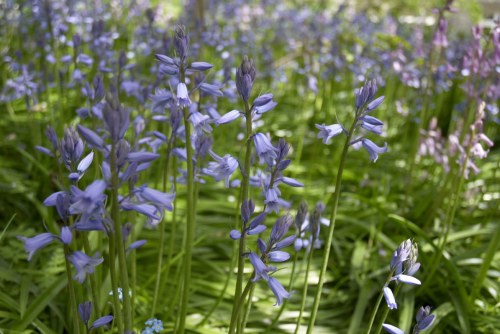 DSC_8666 - Phase One Capture 4 Adjusted_1195x800 DSC_8666 - Phase One Capture 4 Adjusted_1195x800