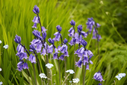 DSC_8675 - Phase One Capture 4 Adjusted_1195x800 DSC_8675 - Phase One Capture 4 Adjusted_1195x800