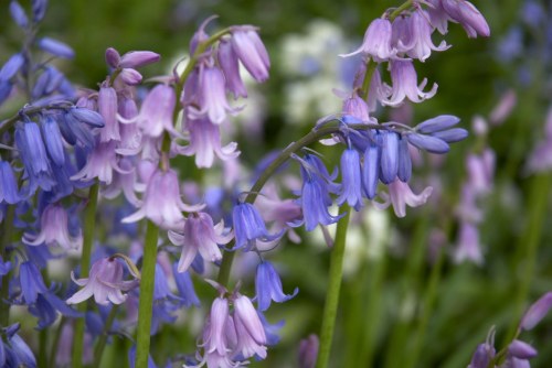 DSC_8681 - Phase One Capture 4 Adjusted_1195x800 DSC_8681 - Phase One Capture 4 Adjusted_1195x800