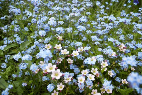 DSC_8686 - Phase One Capture 4 Adjusted_1195x800 DSC_8686 - Phase One Capture 4 Adjusted_1195x800