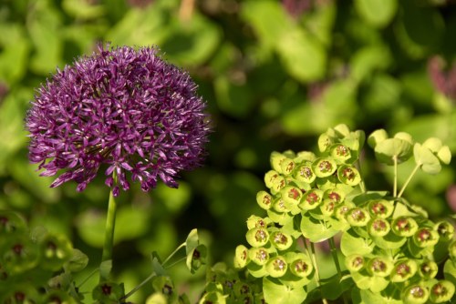 DSC_8939 - Phase One Capture 4 Adjusted_1195x800 DSC_8939 - Phase One Capture 4 Adjusted_1195x800