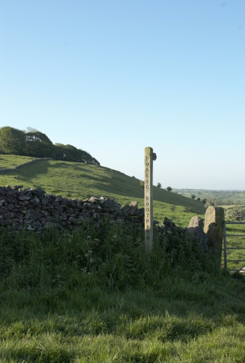 DSC_8971 - Phase One Capture 4 Adjusted_540x800 DSC_8971 - Phase One Capture 4 Adjusted_540x800