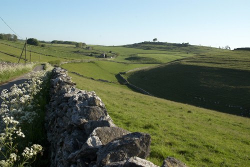 DSC_8983 - Phase One Capture 4 Adjusted_1195x800 DSC_8983 - Phase One Capture 4 Adjusted_1195x800