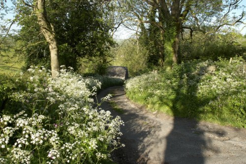 DSC_8989 - Phase One Capture 4 Adjusted_1195x800 DSC_8989 - Phase One Capture 4 Adjusted_1195x800