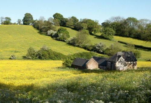 DSC_9116 - Phase One Capture 4 Adjusted_1169x800 DSC_9116 - Phase One Capture 4 Adjusted_1169x800