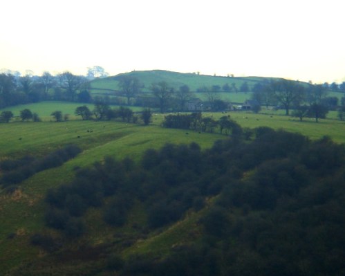 wigber low wigber low