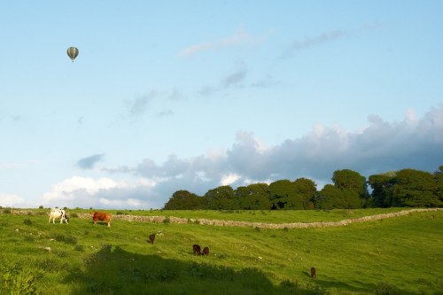 DSC_9287  - Phase One Capture 4 Adjusted_1200x800