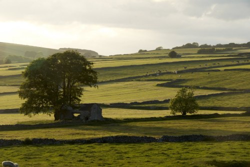 DSC_9293  - Phase One Capture 4 Adjusted_1195x800