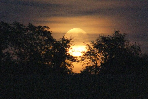 moon rise