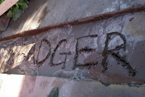 DSC_2371 - Phase One Capture 4 Adjusted_1195x800 DSC_2371 - Phase One Capture 4 Adjusted_1195x800