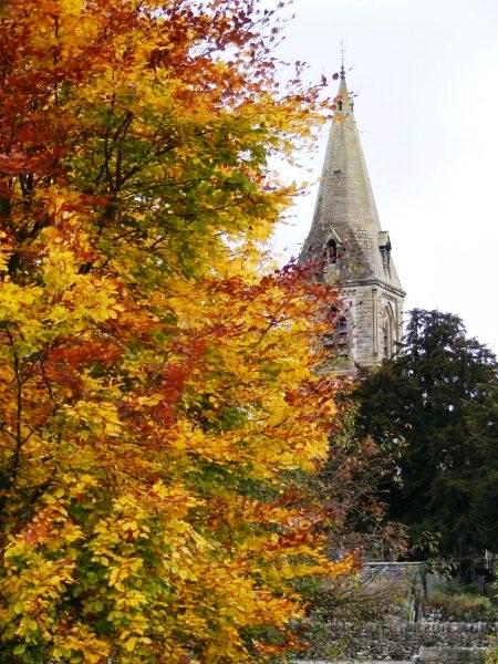 2009_1023ParwichAutumn0090