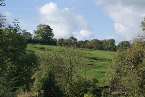 DSC03264_over_the_hill_and_far_away