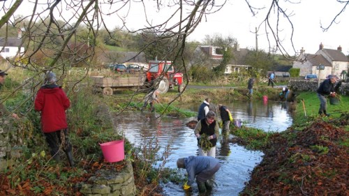 Clearing the bog area 003