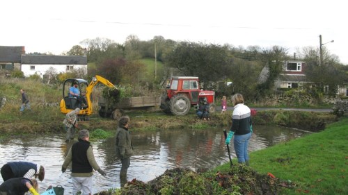 Clearing the bog area 009