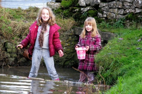 Clearing the bog area 013