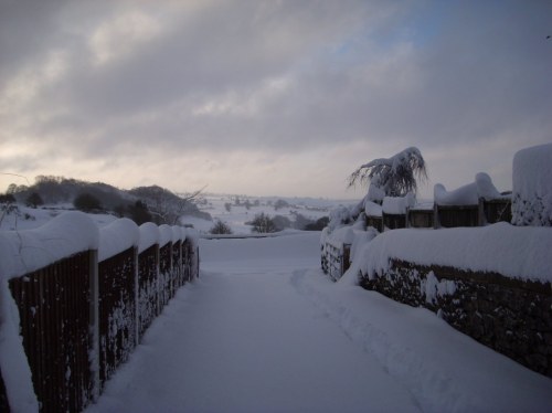 view down Rainster drive 1.12.10_1067x800