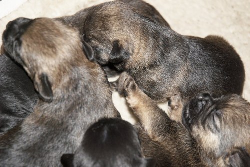 DSC_0472- Phase One Capture 5 Adjusted_1024x683