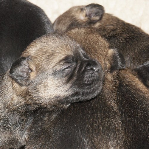 DSC_0473- Phase One Capture 5 Adjusted_768x768